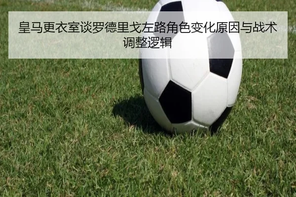 img_1780178920897_3079_1_785.jpg
